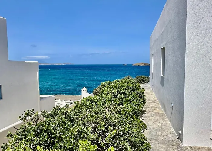 The Dice Пачаина