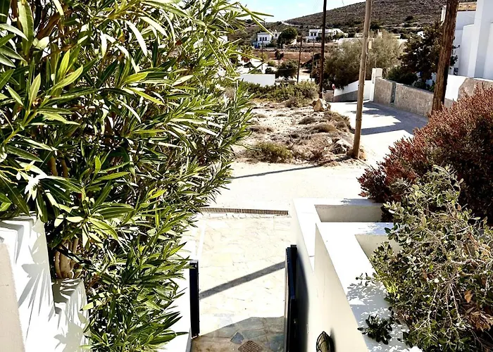 The Dice * Пачаина